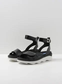 Sandalen<Wolky Plata - zwart/wit leer zwart/witleer