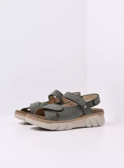 Sneakers<Wolky Rapid - saliegroen nubuck saliegroennubuck